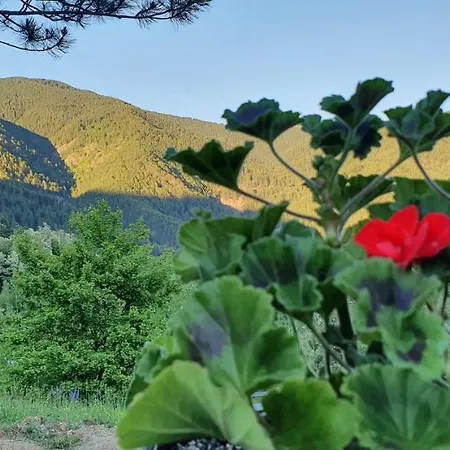 Brvnare Golo Brdo * Mokra Gora