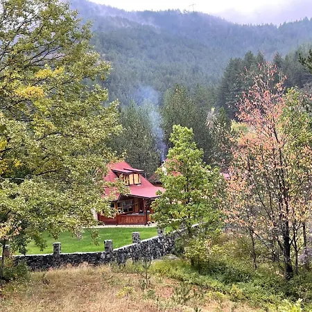 Brvnare Golo Brdo Prázdninový dům Mokra Gora