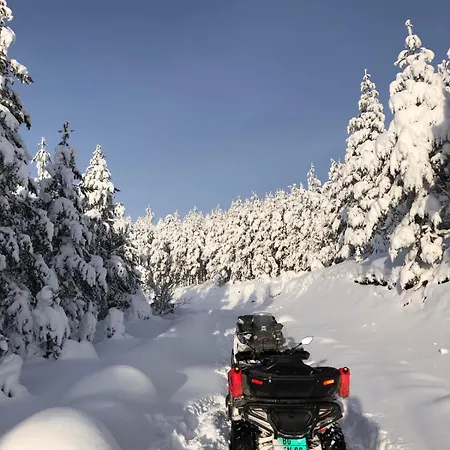 Brvnare Golo Brdo Vikendica